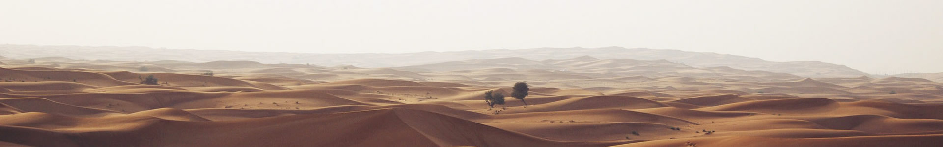 ϵ¹̰·ŲϿƼ޹˾